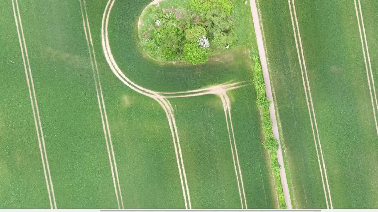 Ortofoto real visualizada en software de procesado
